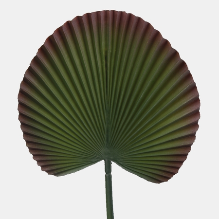 Rubberized palm leaf