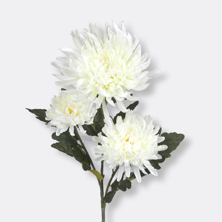 Satin-Chrysantheme x 3