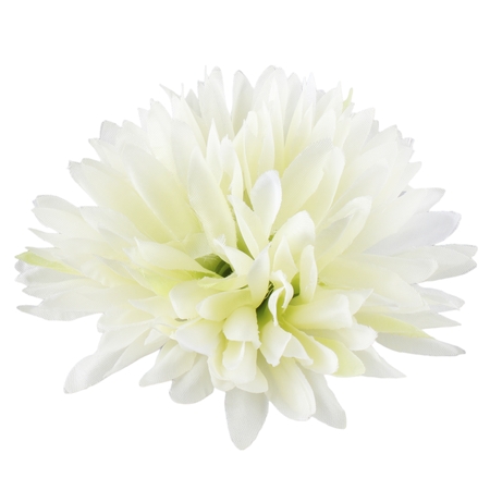 Nedel Chrysantheme