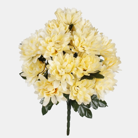Chrysantheme x 18