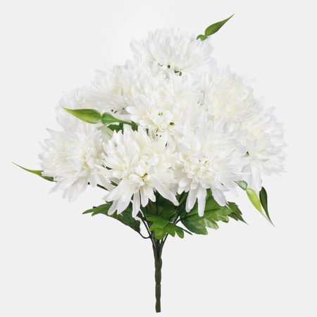 Chrysantheme x 9